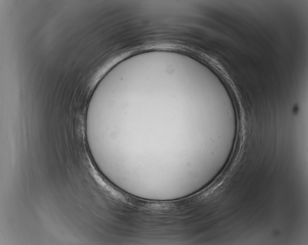 X0000116261433200911300942