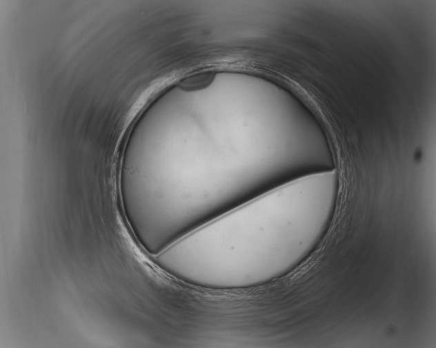 X0000116261434200911300942
