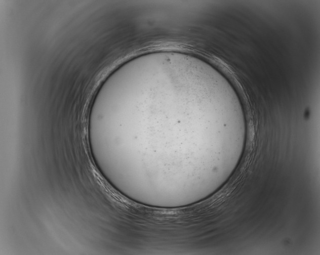 X0000116261435200911300942