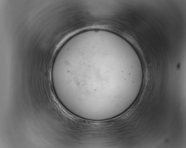 X0000116261436200911300942