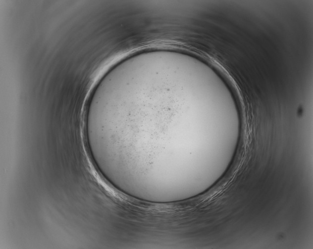 X0000116261437200911300942