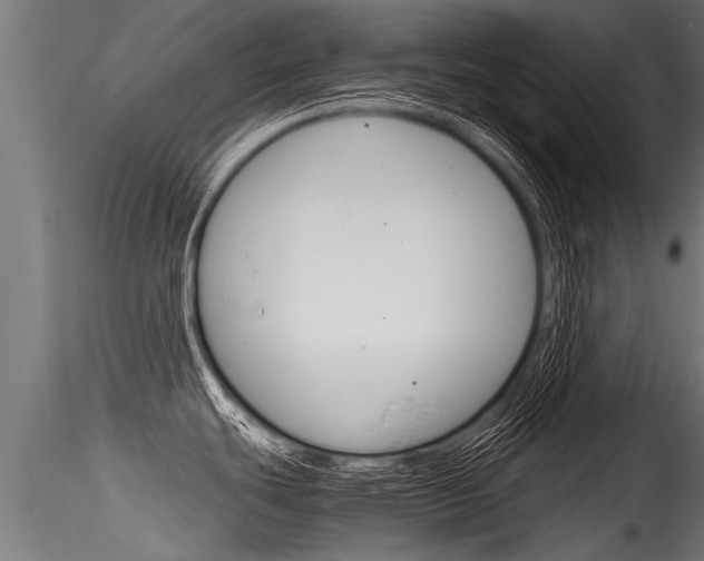 X0000116261439200911300942