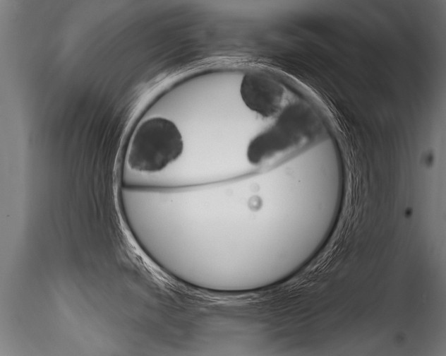 X0000116261440200911300942