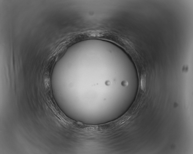 X0000116261444200911300941