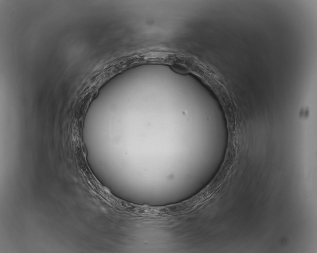 X0000116261445200911300941