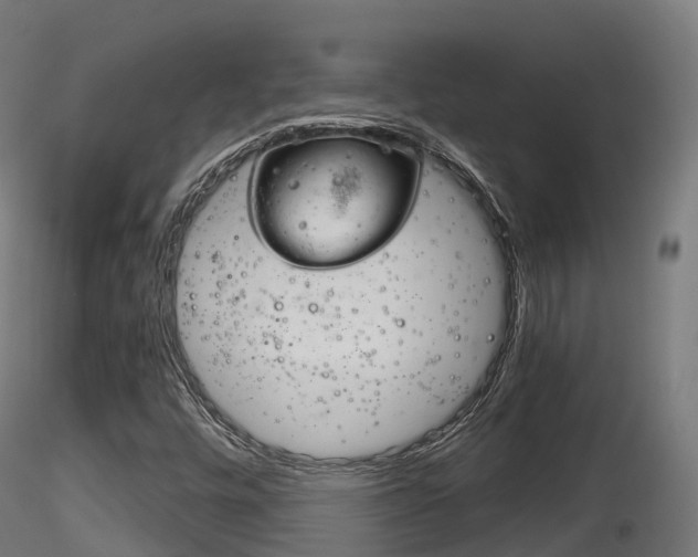 X0000116261448200911300941