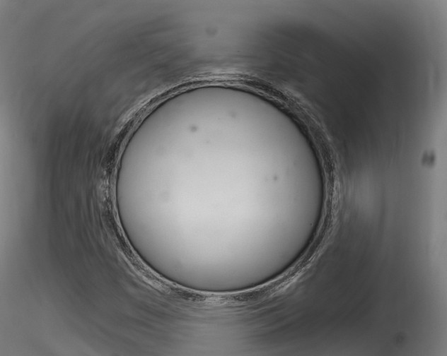 X0000116261449200911300941