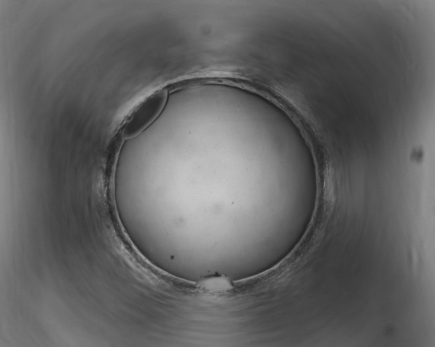 X0000116261452200911300941