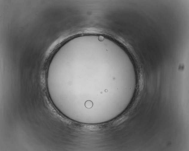 X0000116261454200911300941