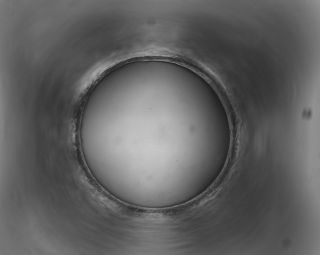 X0000116261455200911300941