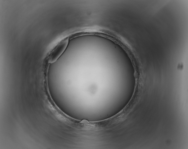 X0000116261456200911300941