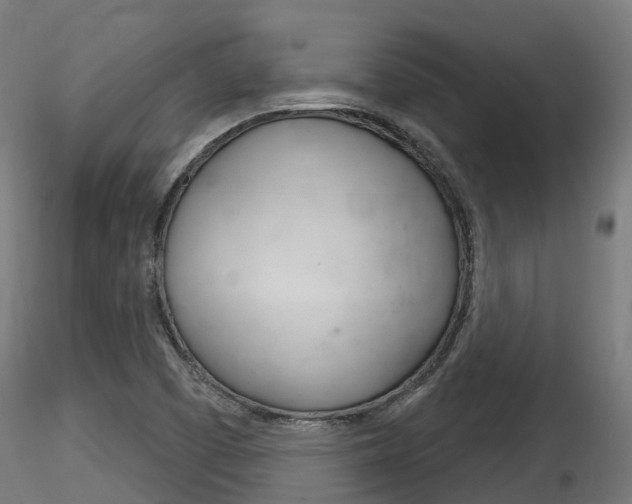 X0000116261457200911300941