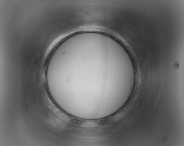 X0000116261462200911300941