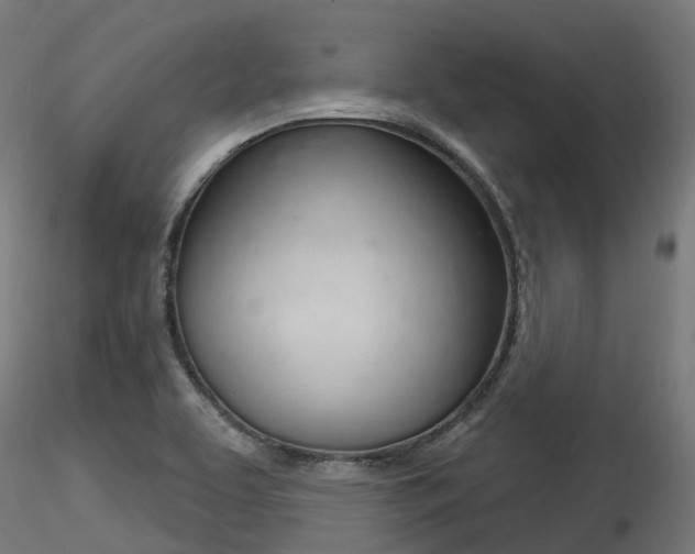 X0000116261463200911300941