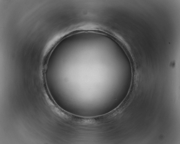 X0000116261464200911300941