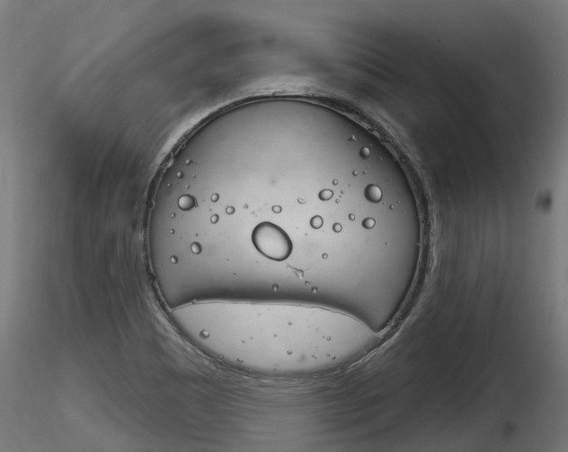 X0000116261465200911300941