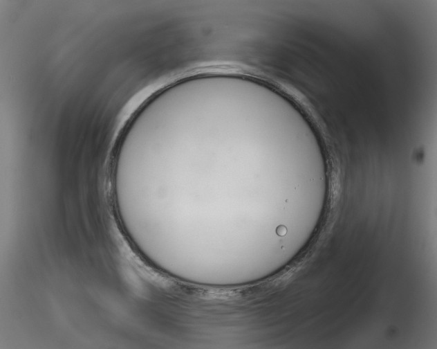 X0000116261466200911300941