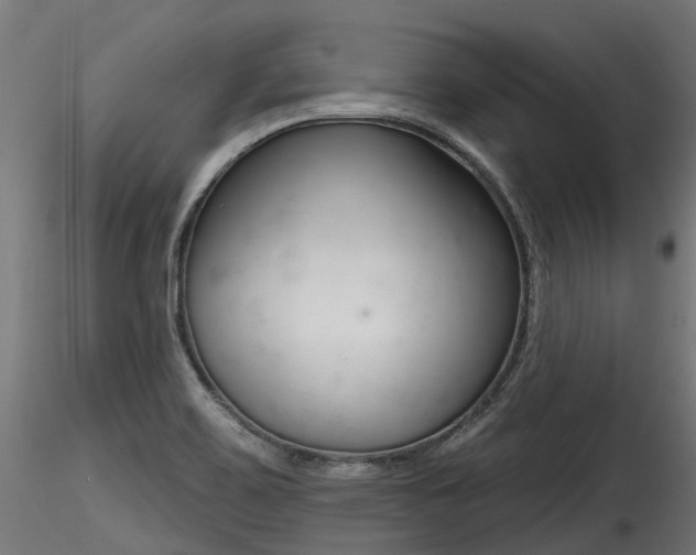 X0000116261467200911300941
