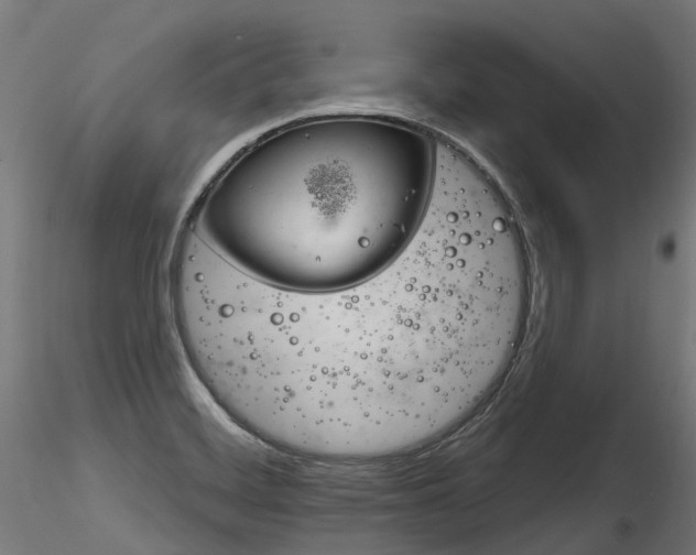 X0000116261468200911300941