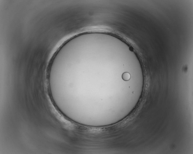 X0000116261470200911300941