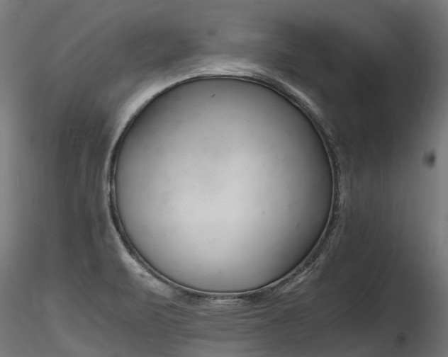 X0000116261471200911300941
