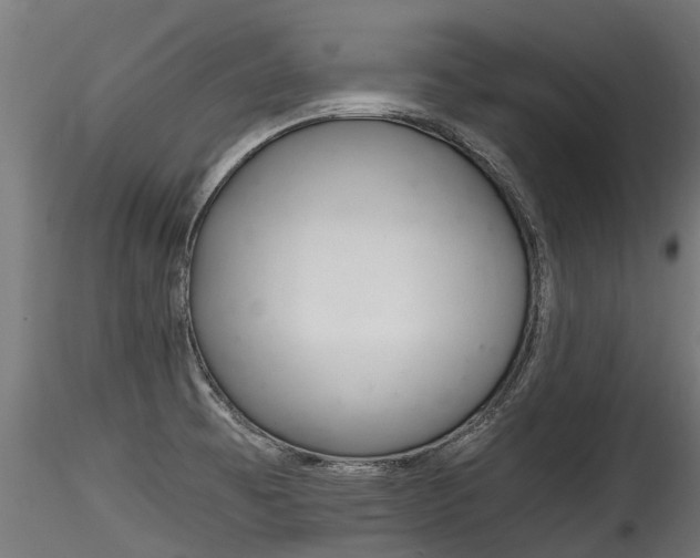 X0000116261473200911300941