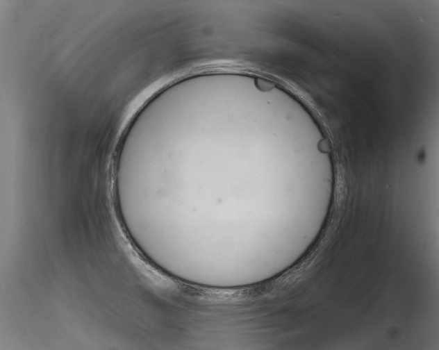 X0000116261474200911300941