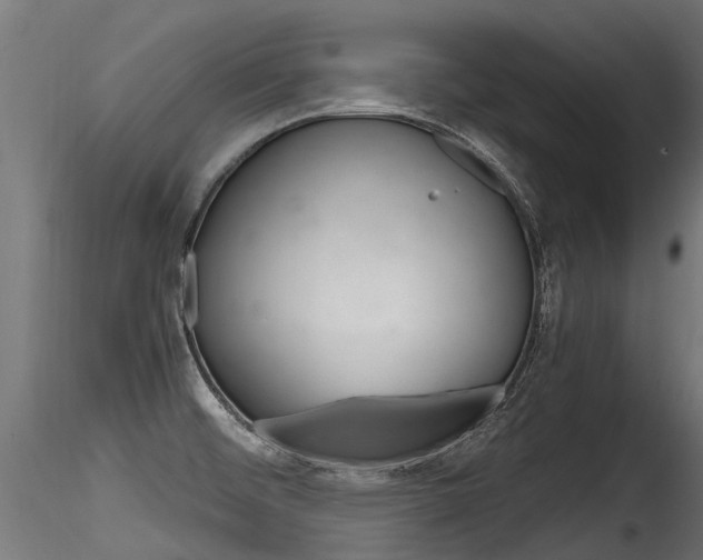 X0000116261476200911300941