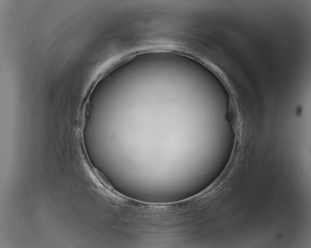X0000116261477200911300940