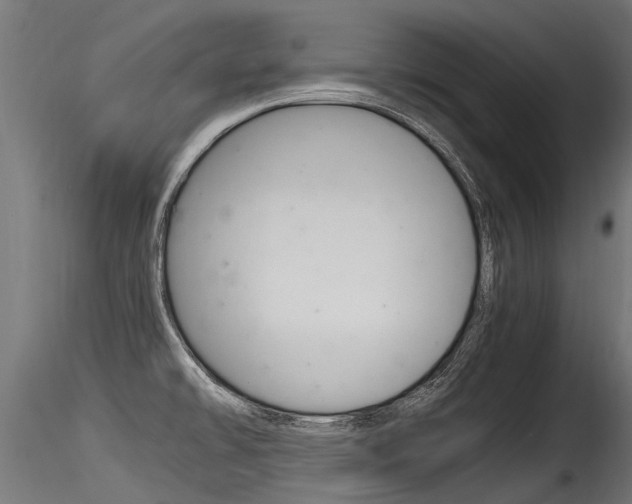 X0000116261478200911300940