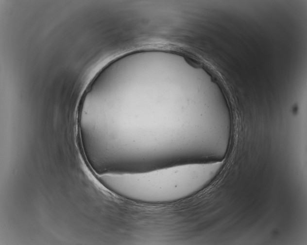 X0000116261479200911300940