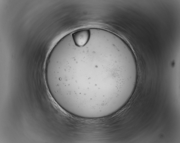 X0000116261480200911300940