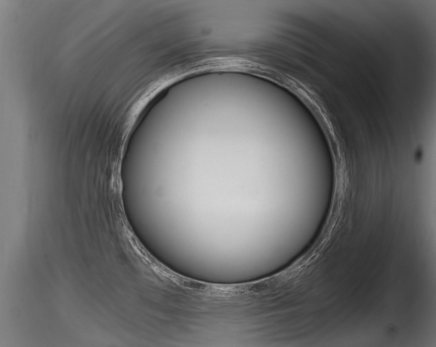 X0000116261481200911300940
