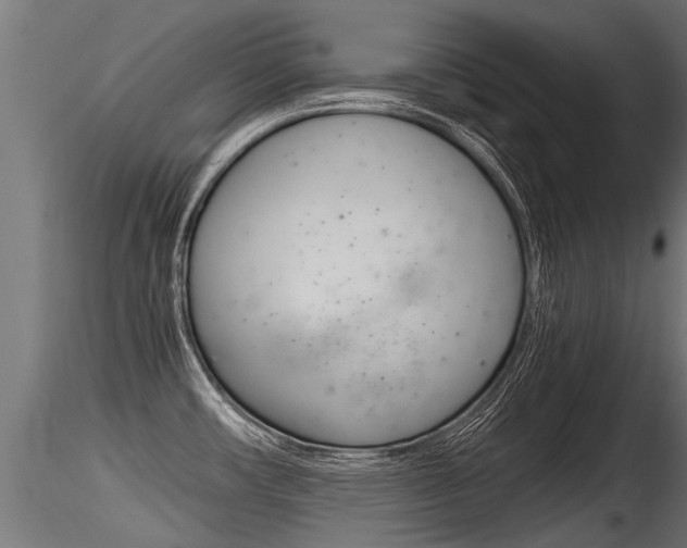X0000116261482200911300940