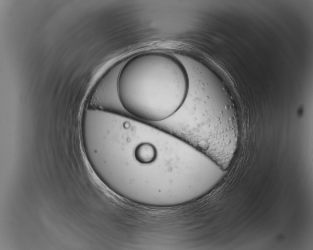 X0000116261483200911300940