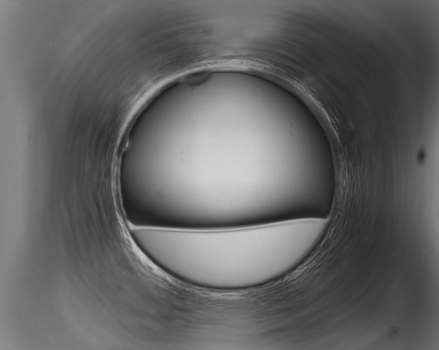X0000116261484200911300940