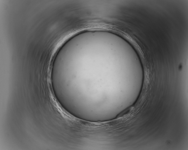 X0000116261485200911300940