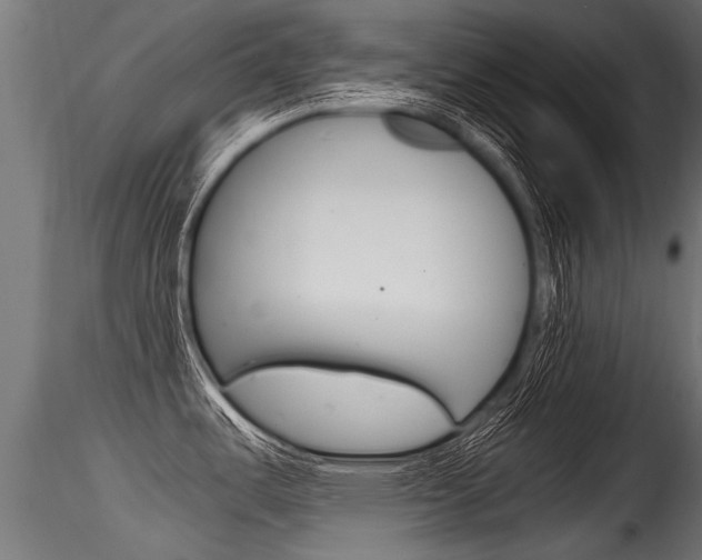 X0000116261487200911300940