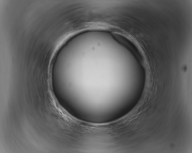 X0000116261488200911300940