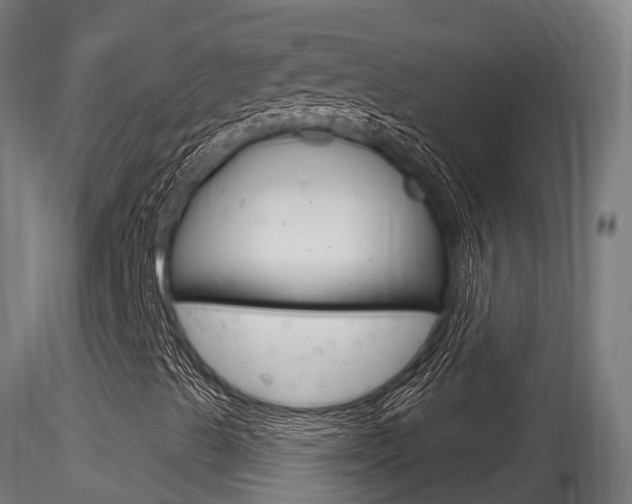 X0000116261489200911300940