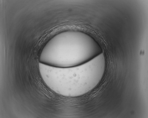X0000116261490200911300940