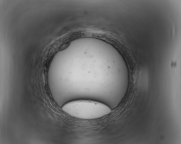 X0000116261493200911300940
