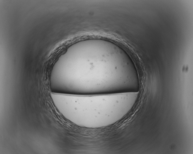 X0000116261494200911300940