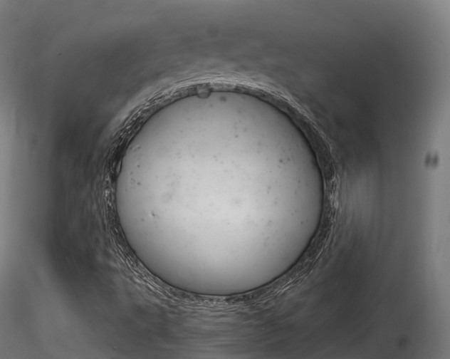 X0000116261495200911300940