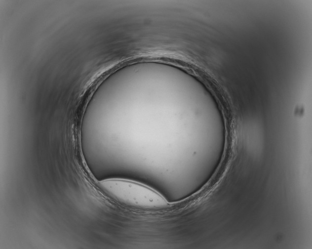 X0000116261497200911300940