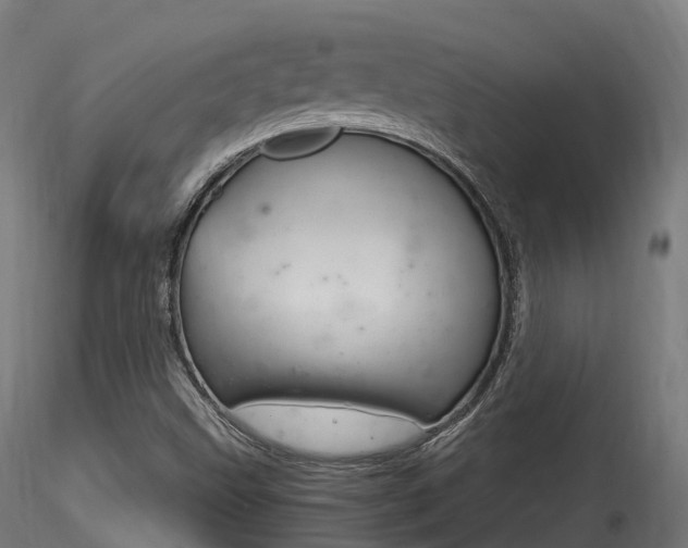 X0000116261499200911300940