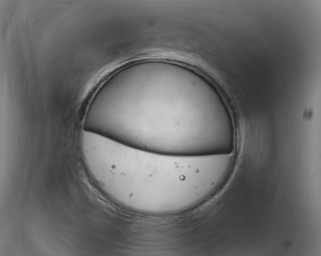 X0000116261501200911300940