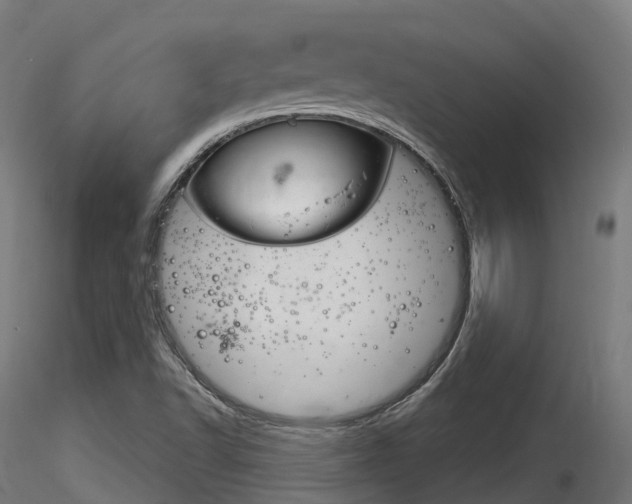 X0000116261502200911300940