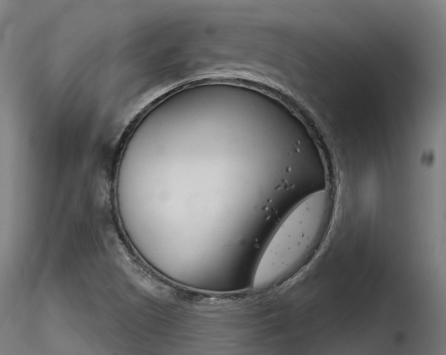 X0000116261505200911300940
