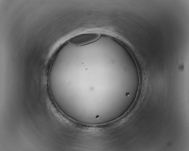 X0000116261506200911300940